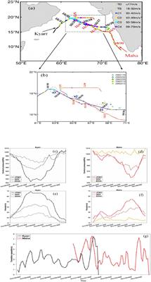 The generation mechanism of cold eddies and the related heat flux exchanges in the upper ocean during two sequential tropical cyclones